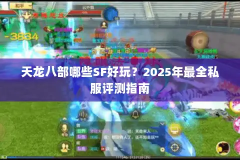 天龙八部哪些SF好玩？2025年最全私服评测指南