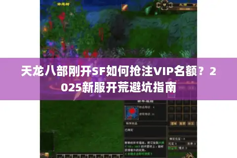 天龙八部刚开SF如何抢注VIP名额?2025新服开荒避坑指南 天龙八部刚开SF如何抢注VIP名额?2025新服开荒避坑指南