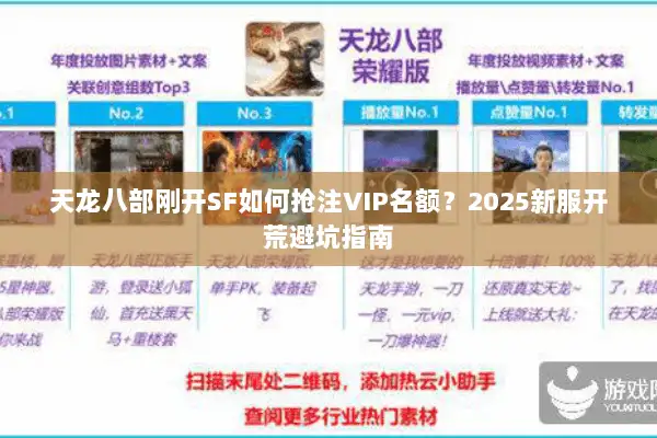 天龙八部刚开SF如何抢注VIP名额?2025新服开荒避坑指南 天龙八部刚开SF如何抢注VIP名额?2025新服开荒避坑指南
