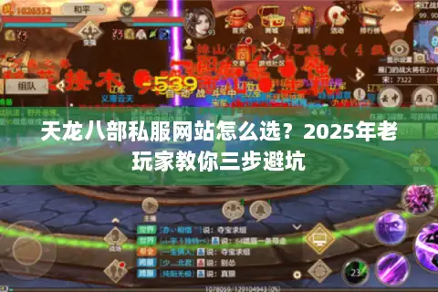 天龙八部私服网站怎么选？2025年老玩家教你三步避坑