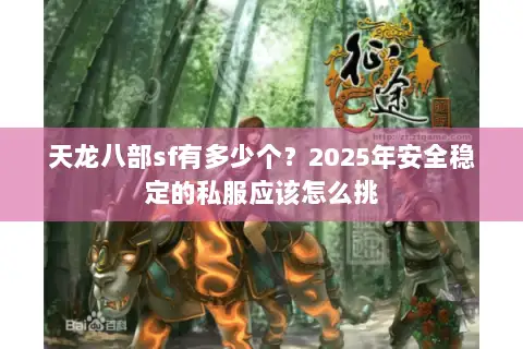 天龙八部sf有多少个？2025年安全稳定的私服应该怎么挑