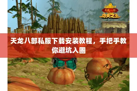 天龙八部私服下载安装教程，手把手教你避坑入圈