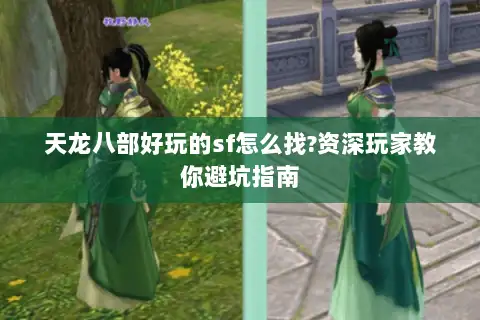 天龙八部好玩的sf怎么找?资深玩家教你避坑指南 天龙八部好玩的sf怎么找?资深玩家教你避坑指南
