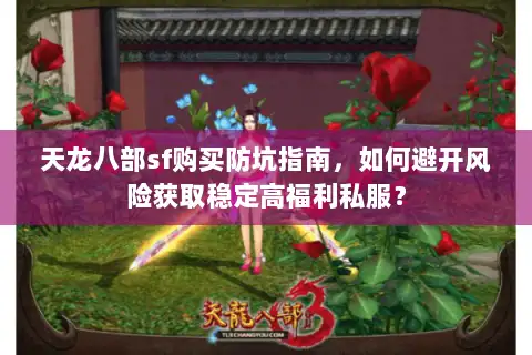 天龙八部sf购买防坑指南，如何避开风险获取稳定高福利私服？