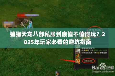 猪猪天龙八部私服到底值不值得玩？2025年玩家必看的避坑指南