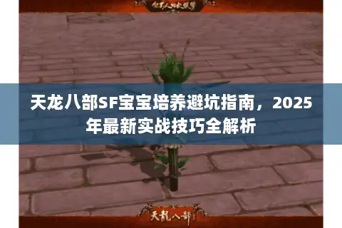 天龙八部SF宝宝培养避坑指南，2025年最新实战技巧全解析