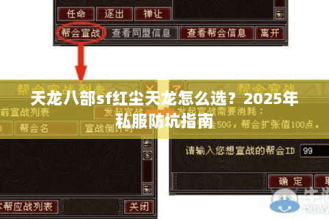 天龙八部sf红尘天龙怎么选？2025年私服防坑指南