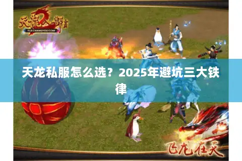 天龙私服怎么选？2025年避坑三大铁律