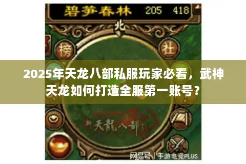 2025年天龙八部私服玩家必看,武神天龙如何打造全服第一账号? 2025年天龙八部私服玩家必看,武神天龙如何打造全服第一账号?