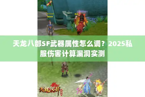 天龙八部SF武器属性怎么调？2025私服伤害计算漏洞实测