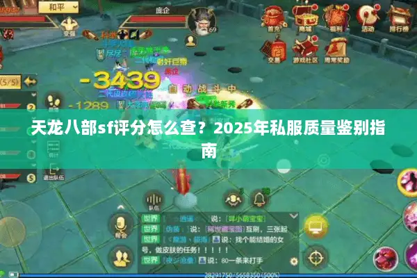 天龙八部sf评分怎么查？2025年私服质量鉴别指南