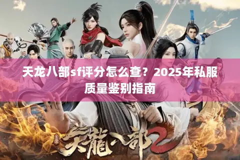 天龙八部sf评分怎么查？2025年私服质量鉴别指南