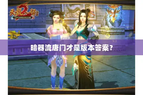 暗器流唐门才是版本答案？