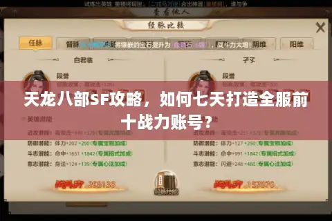天龙八部SF攻略，如何七天打造全服前十战力账号？