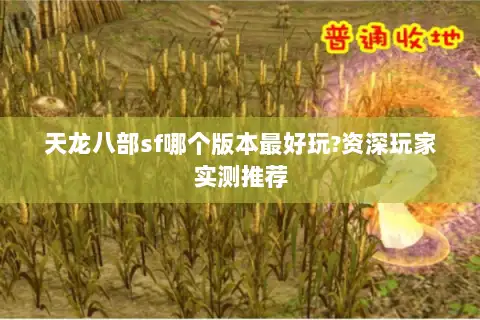 天龙八部sf哪个版本最好玩?资深玩家实测推荐