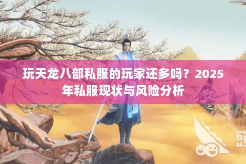 玩天龙八部私服的玩家还多吗？2025年私服现状与风险分析