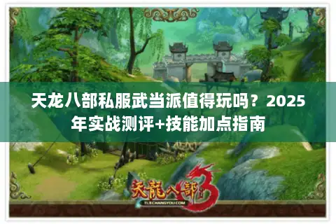 天龙八部私服武当派值得玩吗?2025年实战测评+技能加点指南 天龙八部私服武当派值得玩吗?2025年实战测评+技能加点指南
