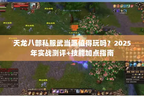 天龙八部私服武当派值得玩吗?2025年实战测评+技能加点指南 天龙八部私服武当派值得玩吗?2025年实战测评+技能加点指南