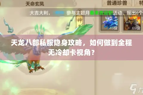 天龙八部私服隐身攻略，如何做到全程无冷却卡视角？