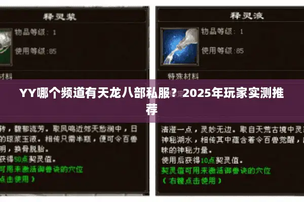 YY哪个频道有天龙八部私服？2025年玩家实测推荐