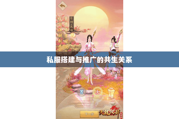 私服搭建与推广的共生关系 私服搭建与推广的共生关系