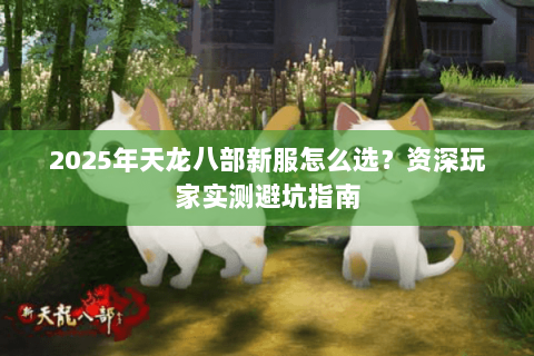 2025年天龙八部新服怎么选?资深玩家实测避坑指南 2025年天龙八部新服怎么选?资深玩家实测避坑指南