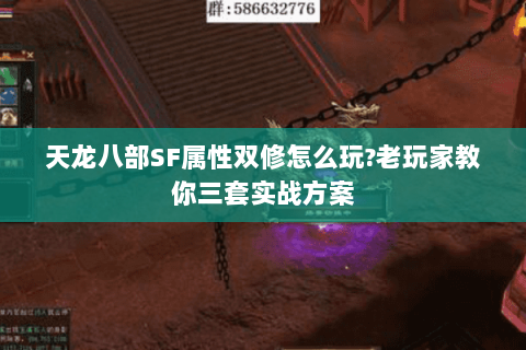 天龙八部SF属性双修怎么玩?老玩家教你三套实战方案