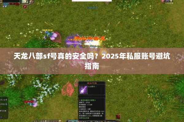 天龙八部sf号真的安全吗？2025年私服账号避坑指南