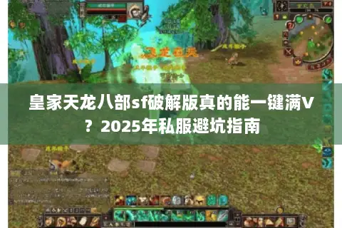皇家天龙八部sf破解版真的能一键满V？2025年私服避坑指南