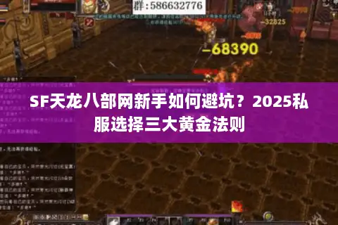 SF天龙八部网新手如何避坑?2025私服选择三大黄金法则 SF天龙八部网新手如何避坑?2025私服选择三大黄金法则