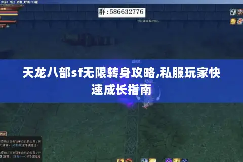 天龙八部sf无限转身攻略,私服玩家快速成长指南