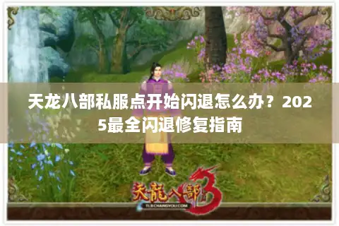 天龙八部私服点开始闪退怎么办？2025最全闪退修复指南