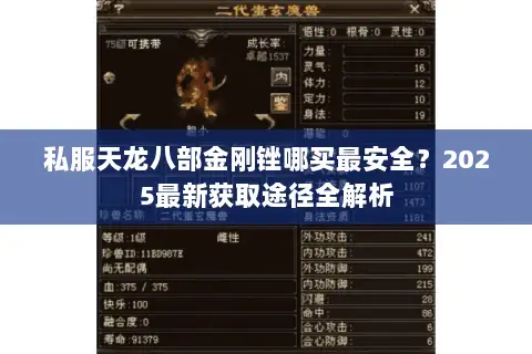 私服天龙八部金刚锉哪买最安全？2025最新获取途径全解析