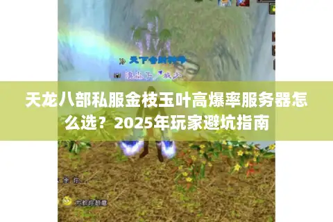 天龙八部私服金枝玉叶高爆率服务器怎么选？2025年玩家避坑指南