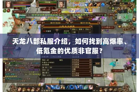 天龙八部私服介绍，如何找到高爆率、低氪金的优质非官服？