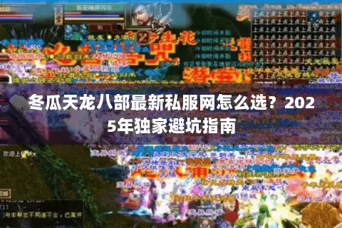 冬瓜天龙八部最新私服网怎么选？2025年独家避坑指南
