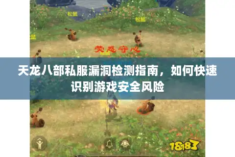 天龙八部私服漏洞检测指南,如何快速识别游戏安全风险 天龙八部私服漏洞检测指南,如何快速识别游戏安全风险