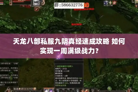天龙八部私服九阴真经速成攻略 如何实现一周满级战力? 天龙八部私服九阴真经速成攻略 如何实现一周满级战力?