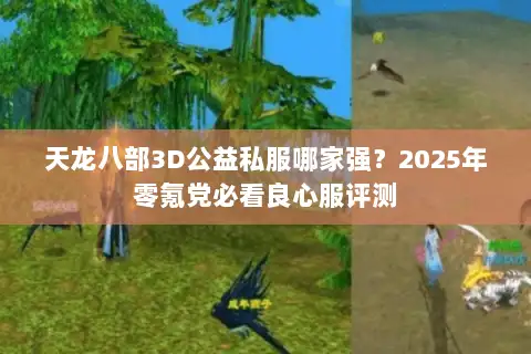 天龙八部3D公益私服哪家强？2025年零氪党必看良心服评测