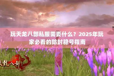 玩天龙八部私服需要什么？2025年玩家必看的防封稳号指南