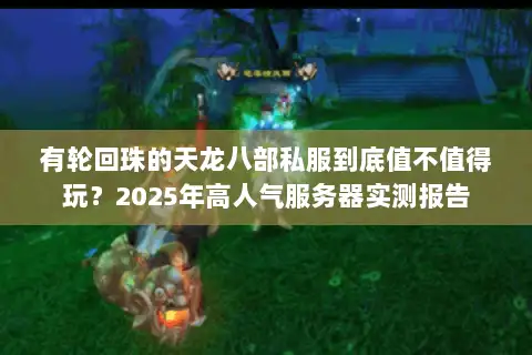 有轮回珠的天龙八部私服到底值不值得玩？2025年高人气服务器实测报告