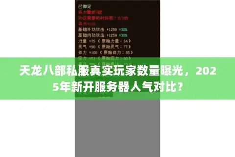 天龙八部私服真实玩家数量曝光,2025年新开服务器人气对比? 天龙八部私服真实玩家数量曝光,2025年新开服务器人气对比?