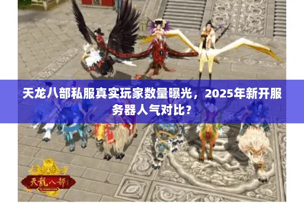 天龙八部私服真实玩家数量曝光，2025年新开服务器人气对比？