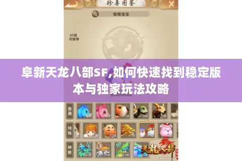阜新天龙八部SF,如何快速找到稳定版本与独家玩法攻略