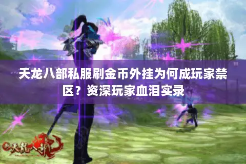 天龙八部私服刷金币外挂为何成玩家禁区？资深玩家血泪实录