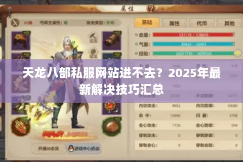 天龙八部私服网站进不去？2025年最新解决技巧汇总