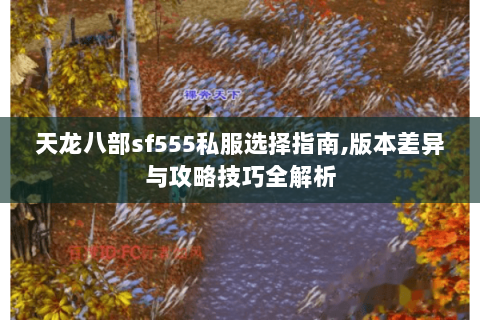 天龙八部sf555私服选择指南,版本差异与攻略技巧全解析