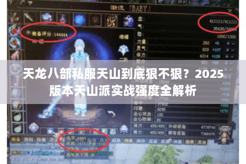 天龙八部私服天山到底狠不狠？2025版本天山派实战强度全解析