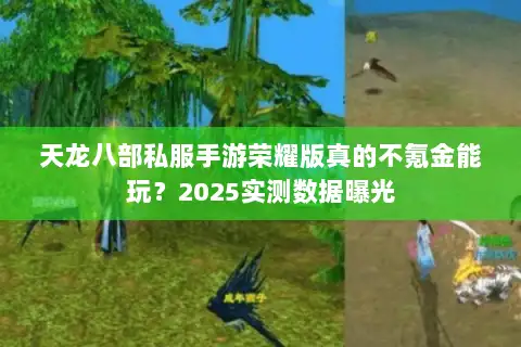 天龙八部私服手游荣耀版真的不氪金能玩？2025实测数据曝光