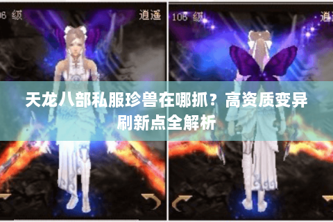 天龙八部私服珍兽在哪抓？高资质变异刷新点全解析